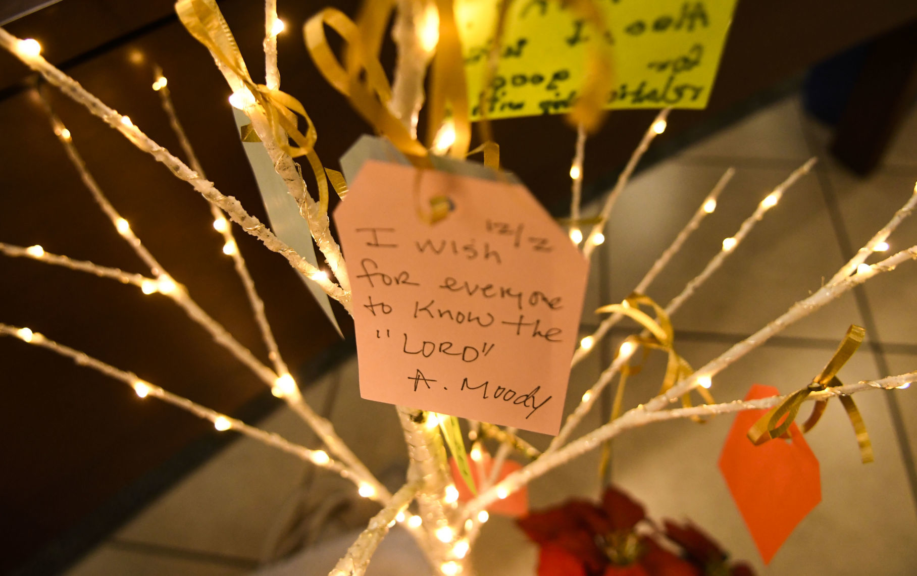 120219 Wishing trees 16.jpg